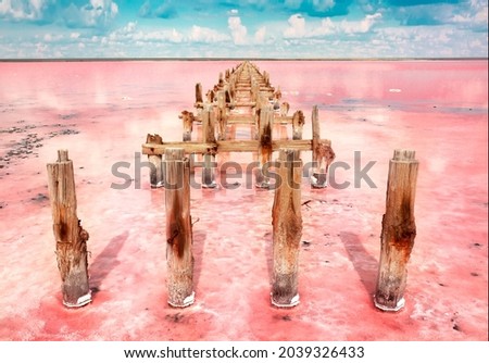 The pink lake is a beautiful landscape, unusual nature. A unique rare natural phenomenon. Salt lake with pink algae. Beautiful landscape. Royalty-Free Stock Photo #2039326433