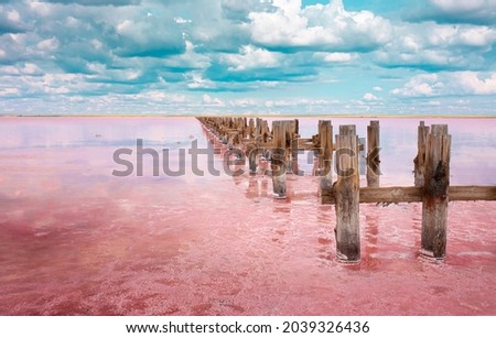 The pink lake is a beautiful landscape, unusual nature. A unique rare natural phenomenon. Salt lake with pink algae. Beautiful landscape. Royalty-Free Stock Photo #2039326436