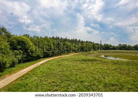 Aerial view of a sandy path along the edge of the forest. Picture taken by a drone from above a picturesque landscape. Impressive blue sky, view of the surroundings