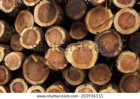 An Image of Log