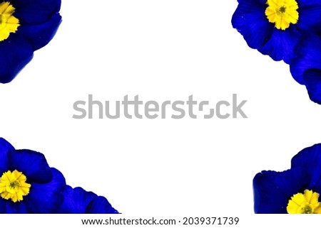 Blue Primrose Flowers as Frame empty Text Space