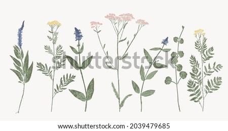 set of vector hand printed colored wild flowers