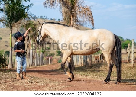 A beautiful bay mare being introduced by a farm boy. Mare with a buckskin coat of rare beauty. Friendship concept between animal and child.