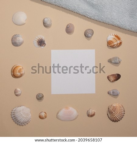 Summer scene with sea shell with copy space on the beige background. Aesthetic flat lay concept.