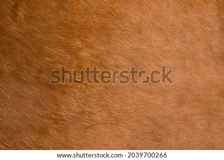 Natural brown fur texture. Natural brown fur texture. Animal fur close-up as background. Abstract fur pattern. Soft surface texture. Royalty-Free Stock Photo #2039700266