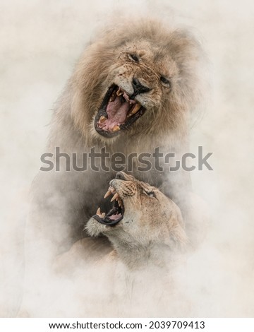 Lion and lioness in middle of African savannah Royalty-Free Stock Photo #2039709413