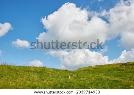 rest in the mountains with tents. view of summer green mountains and white fluffy clouds. summer wildflowers. Mountain Lake