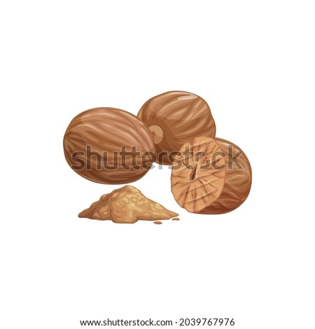 Fragrant or true nutmeg whole and powdered cartoon isolated icon. Vector pala edible seed, culinary spice, whole and grounded. Seed or ground spice of mace, seasoning or organic food ingredient Royalty-Free Stock Photo #2039767976