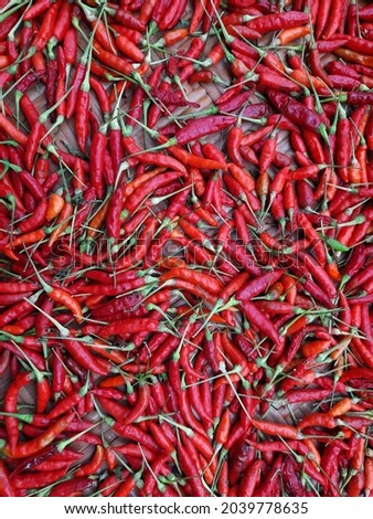 red peppers are drying  fresh red chili background picture