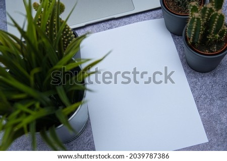 top view of a blank piece of paper next to a laptop keyboard and small plants. Place for text.