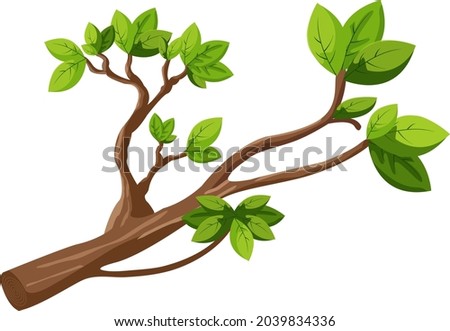 Cut tree branch sprouted with new green leaves. Tree branch with leaves isolated.  Royalty-Free Stock Photo #2039834336