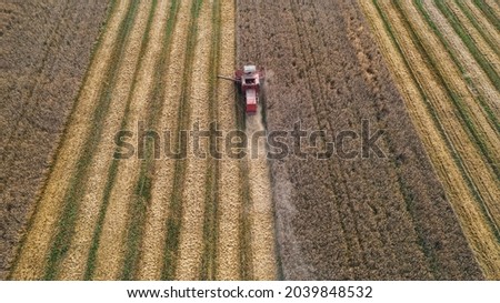 sunset time one red combine harvest wheat in the field. Harvesting machine working in the field. Aerial view from the drone. concept.