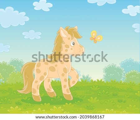 Spotted cute little pony playing with a merry flittering butterfly on green grass of a pretty summer field, vector cartoon illustration