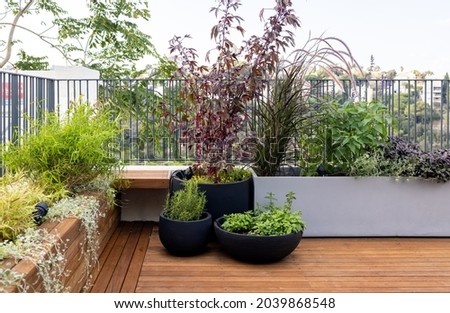 Plants in beautiful planters and potted plants on astylish  modern balcony
 Royalty-Free Stock Photo #2039868548