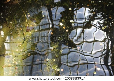 Wishing well water surface reflecting with coins underneath. Full color photograph.