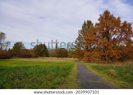 Beautiful autumn landscape - golden autumn in park - autumn colorful  tree crowns. Park alley