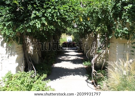 Photograph of a walking path with natural stone pillars and green leaf foliage growing around and overhead with sun shining down. Full color image.