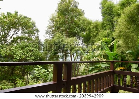 Beautiful wooden patio overlooking green lush landscape