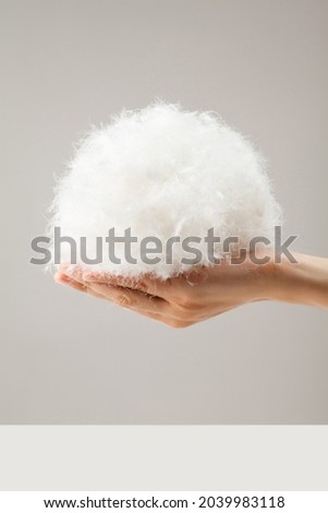 filling material, white goose down feathers in hand. Royalty-Free Stock Photo #2039983118