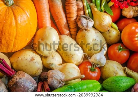 Assortment of vegetables for healthy eating. In autumn, harvest various vegetables. 