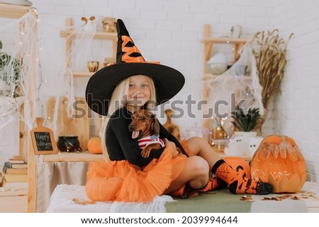 A little blonde girl in a witch costume in a huge witch hat and an orange puffy skirt holds a dwarf dachshund on her lap against a background of pumpkins. Halloween concept, space for text.