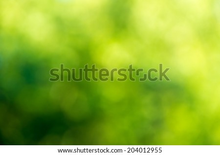 Green blurred background and sunlight Royalty-Free Stock Photo #204012955