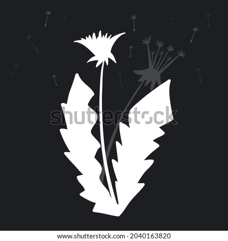 Stylized dandelions on a black background, vector illustration
