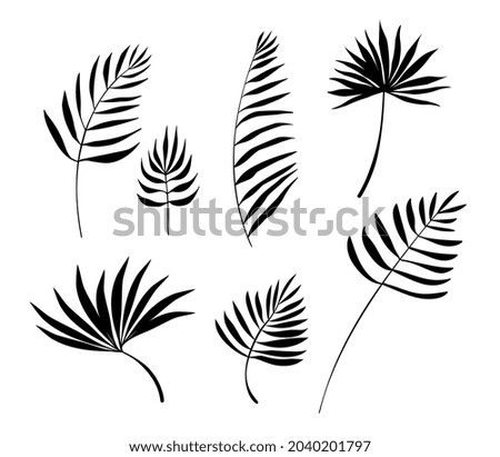 Vector Nature Set of Different Silhouette of Black Palm Leaves Isolated on White Color Background