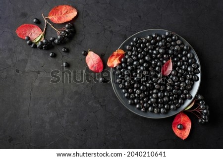 Black chokeberry (Aronia melanocarpa) with leaves on a black stone background. Top view. Copy space. Royalty-Free Stock Photo #2040210641