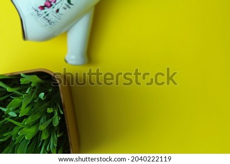 Green grass on yellow background with watering bowl - background - free space for text 