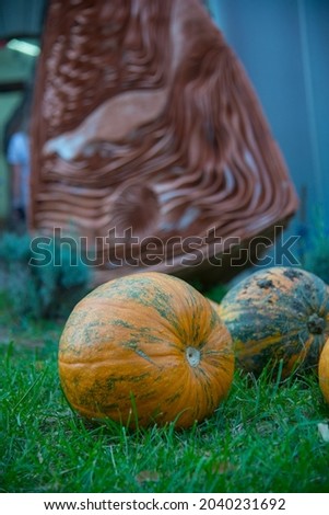 Pumpkin in the grass. The concept of healthy eating and Halloween.