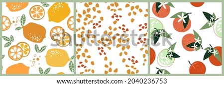 The set is an abstract modern seamless pattern with citrus fruits, useful vitamins. Healthy vegan food. Lemons, oranges, tangerines cut into round slices, slices. Simple shapes, drops. Vector graphics