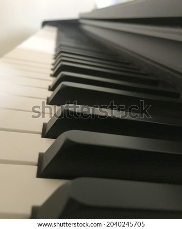 Digital piano with special color shades of black and white there is a dark brown color on the wood