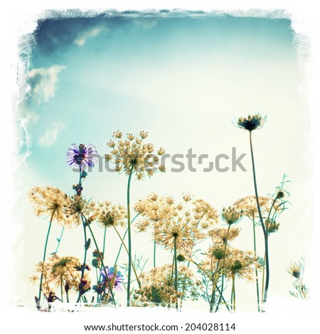 wild meadow flowers and grass vintage style background   