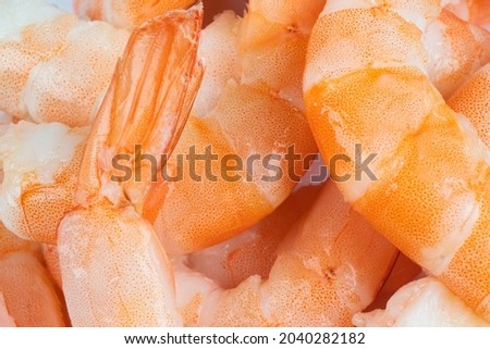 Group of red argentine shrimp texture background. Large tiger shrimp surface pattern.