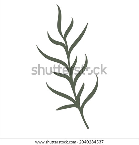 Hand drawn branch with leaves isolated on white background. Decorative floral element for your design. Vector illustration