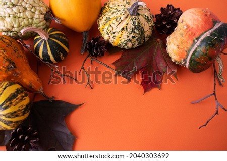 multicolored pumpkins, cones and branches for halloween on an orange background