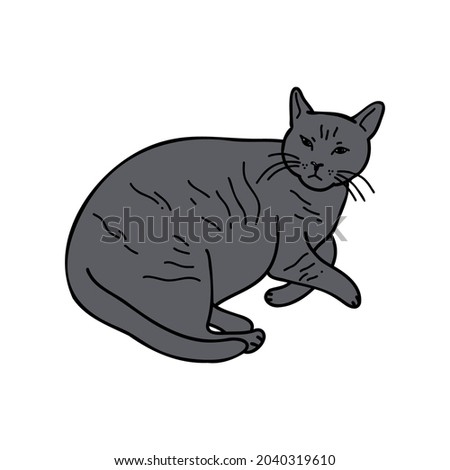 Funny gray cat vector illustration isolated on white background.