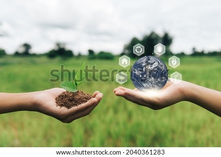 World environment day. and Green Background hand holding tree Earth globe in hands. Elements of this image furnished by NASA. 