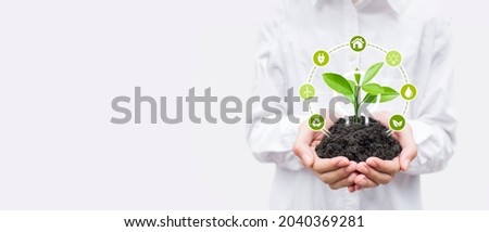 Renewable and sustainable energy sources concept.Green trees planted in perfect soil on hand Agricultural Development Researcher. Green plant farming technology background.
