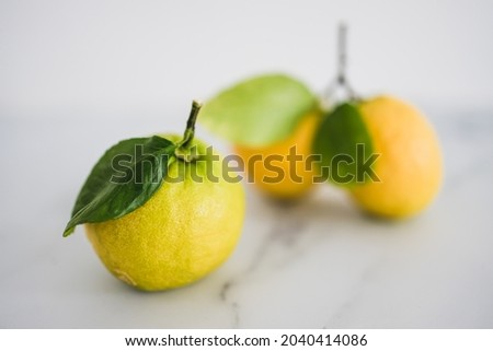 freshly picked lemons with leaves on white background shot at shallow depth of field, concept of simple natural healthy ingredients