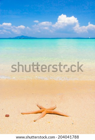 On a Beach Sea Starlet 