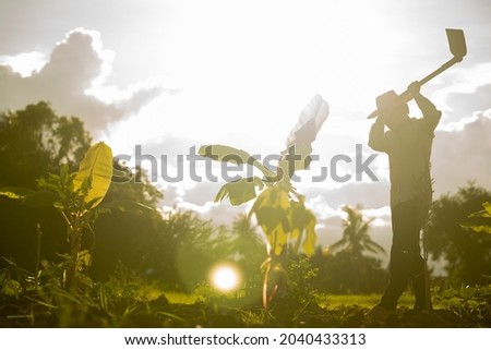 Farmer on light sunset working in organic farmland, Asian man holding hoe and dig soil for planting the tree in garden, beautiful light of sunny on sky silhouette background, 