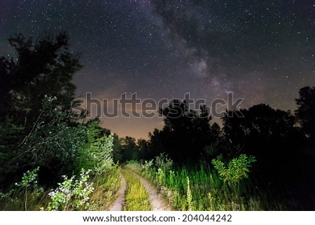 Night scene with rut road and Milky Way Galaxy in sky
