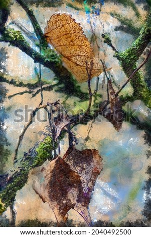 Wet autumn leaves on a dry branch with green moss. Close-up of tree branches covered with moss and lichen. Rainy November morning. Digital watercolor painting.