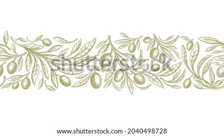 Olive seamless pattern in repeat stripe. Vector hand drawn decorative print. Texture tree, green fruit, retro leaves on white background. Wild oil food Royalty-Free Stock Photo #2040498728