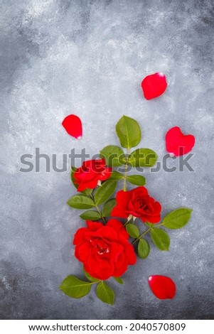 Flower arrangement of fresh red rose flowers on a gray background with space for text.