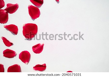 Red rose petals on a white background with space for text. Postcard. Royalty-Free Stock Photo #2040571031