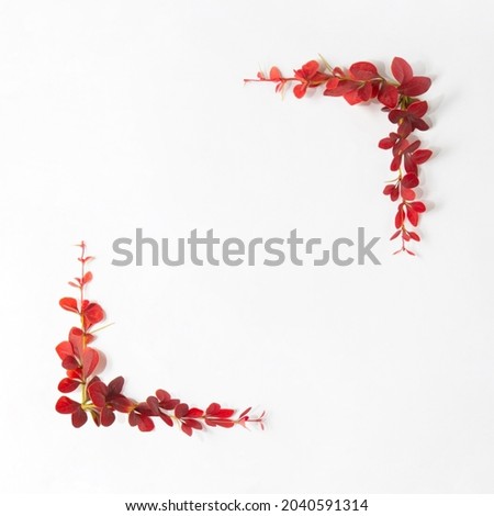 Autumn frame on white background. Minimal fall concept with red leaves. Nature flat lay idea with square copy space.