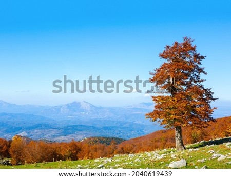Colorful mountain landscape in sunny autumn day.  View from Serra Di Crispo, Pollino National Park, southern Apennine Mountains,  Italy. Royalty-Free Stock Photo #2040619439